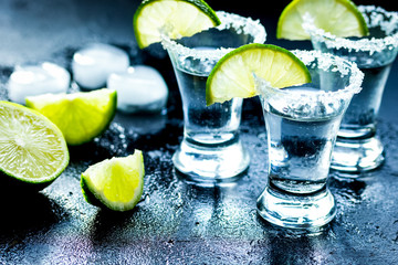 Fototapeta na wymiar Tequila shot with salt and ice on dark background