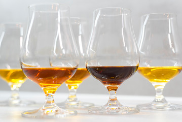High quality Caribbean rum in modern glass for tasting