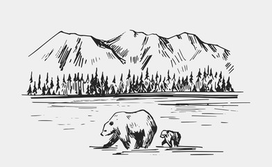 Wilde Naturlandschaft mit Bären im Fluss. Alaska-Region. Handgezeichnete Illustration in Vektor umgewandelt. © aksol