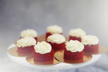 Beautiful festive cake biscuit with different creams