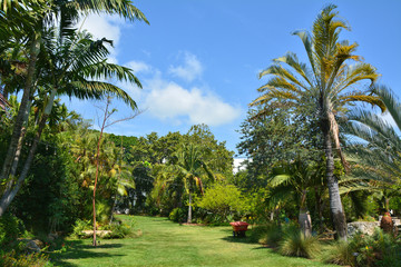 Tropical garden in Miami Beach.