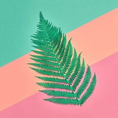 Floral Leaves Fashion Concept. Fern Tropical Green Leaf. Vivid Design. Art Gallery. Creative Bright Color. Minimal Style. Summer fashionable Background. Flat lay
