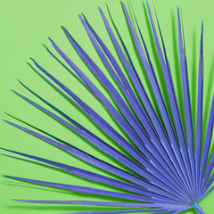 Creative Tropical Fresh Fan Palm Leaf. Green Purple Summer Design. Bright Color. Beach leaf fashionable background. Minimal Art. Detail