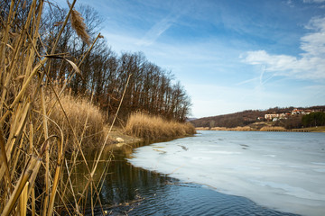 Fototapeta na wymiar Dry reed by the frozen lake. Beautiful sunny winter day.