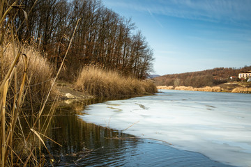 Dry reed by the frozen lake. Beautiful sunny winter day.