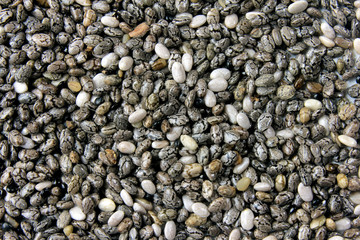 isolated chia seeds forming background with their pattern of organization. Top view