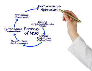 Process of MBO.