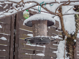Futtersäule Vogelfütterung im Winter