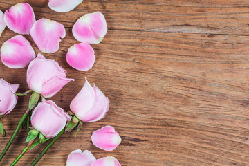 Valentine's Day.Pink rose，Valentines day background.