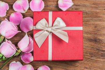 Valentine's Day.Pink rose，Valentines day background.