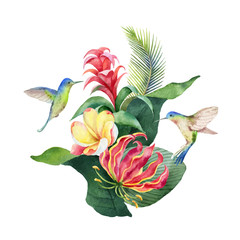 Watercolor vector card tropical leaves, hummingbird and flowers isolated on white background. © ElenaMedvedeva