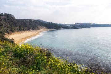 jungmun saekdal beach