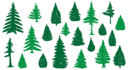 fir trees