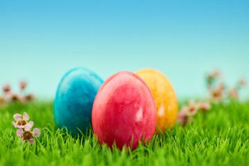 Bunte Ostereier auf Wiese zu Ostern im Frühling