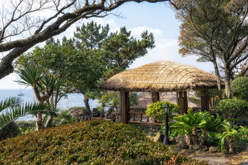 jeju straw thatched roofs