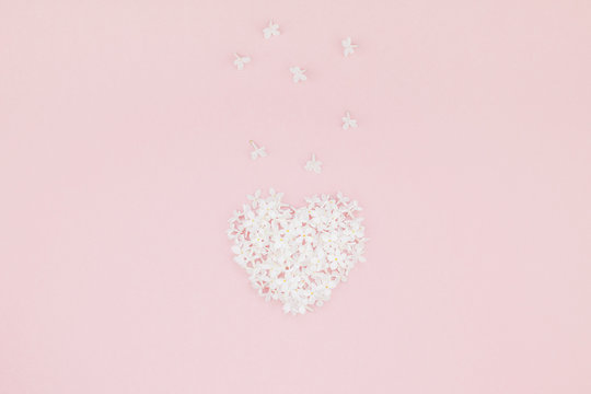 Pink background with white lilac flowers