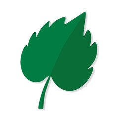 green leaf icon- vector illustration