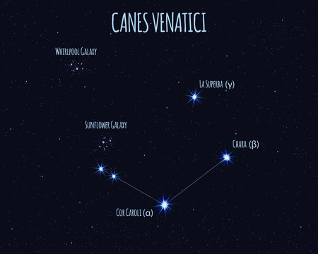 Canes Venatici (The Hunting Dogs) constellation, vector illustration with the names of basic stars against the starry sky 