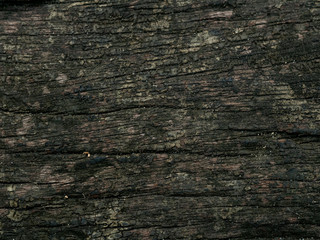 wood texture