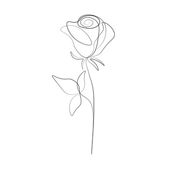 One line drawing rose flower, vector illustration
