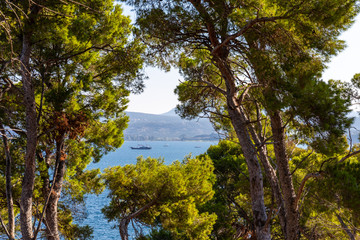 view through trees on Nvarino bay and Pylos port, Messenia