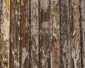 Old wooden board for texture, background