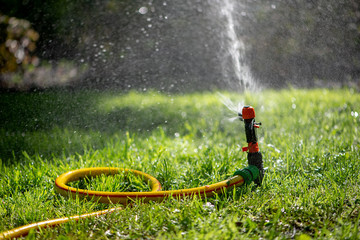 Automatic sprinkler system watering the lawn.Watering in the garden. Watering garden plants. Jet of...