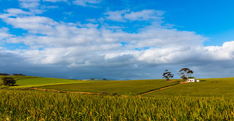 Little house West Cape South-Africa