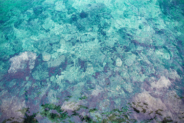 Beautiful coral in sea blue summer