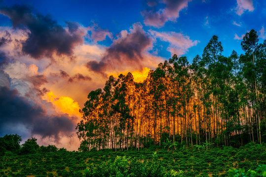 The Sunset Light at Muniz Freire