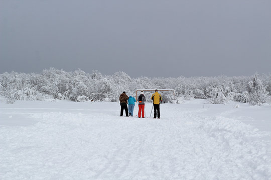 a group of tourists in bright sports suits are skiing at the entrance to the snow-covered forest © Yulia