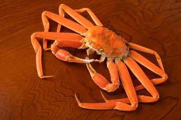 かに　蟹　丸ごと　1匹　食材　ずわいがに