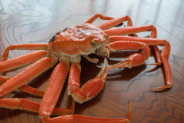 かに　蟹　丸ごと　1匹　食材　ずわいがに