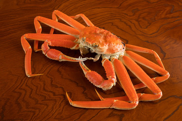 かに　蟹　丸ごと　1匹　食材　ずわいがに