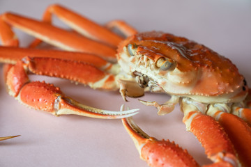 かに　蟹　丸ごと　1匹　食材　ずわいがに