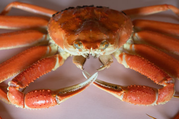 かに　蟹　丸ごと　1匹　食材　ずわいがに