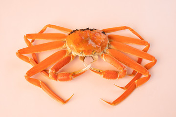 かに　蟹　丸ごと　1匹　食材　ずわいがに