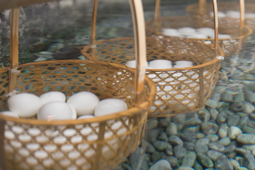 温泉卵　Hot spring egg　onsen tamago	