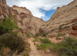 Capitol Reef National Park filled with cliffs, canyons, domes, and bridges, red rock country desert, Utah, United States