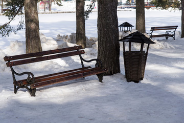 Bench and trash can in the park