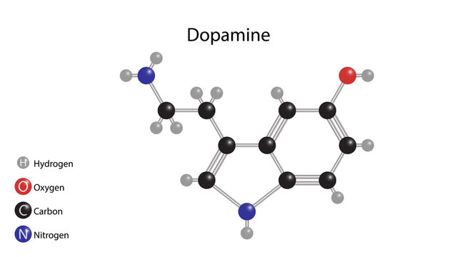 Dopamine molecule vector. Molecular structure vector design. Dopamine structure