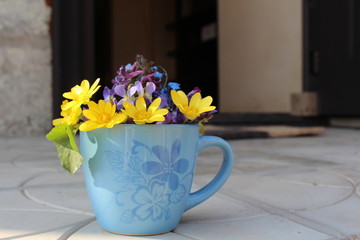 Fototapeta premium flowers in a vase
