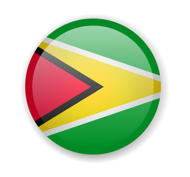 Guyana flag round bright icon on a white background