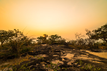 Natural attractions50