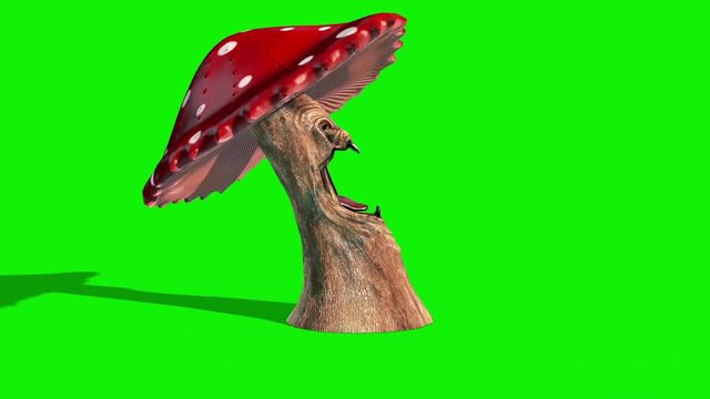 Mushroom Monster Bites Side Green Screen 3D Rendering Animation