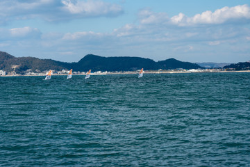 ウインドサーフィン