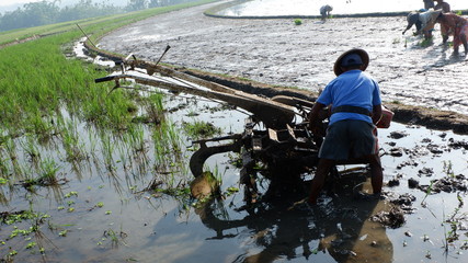 plowing activities with hand tractor engines