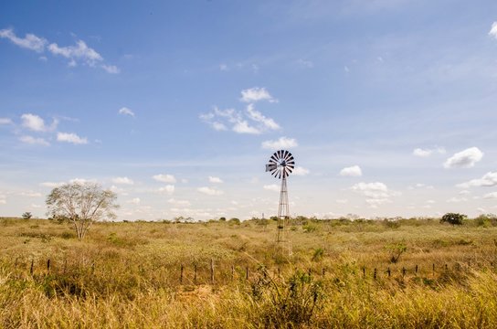 Paisagem e catavento