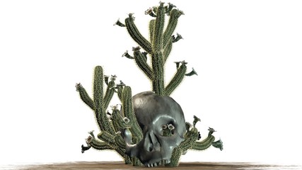 Fototapeta premium Cactus in skull on a sand area - isolate on white background