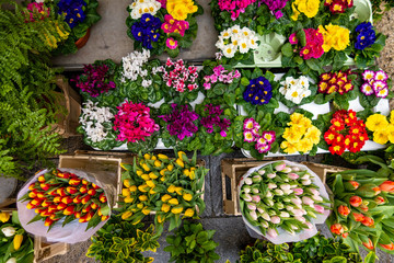 Esposizione di  mazzi e piantine di fiori  per la vendita